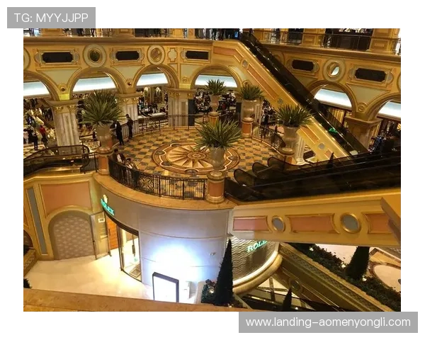 澳门六张赌牌持有者的财务状况与盈利能力全面分析