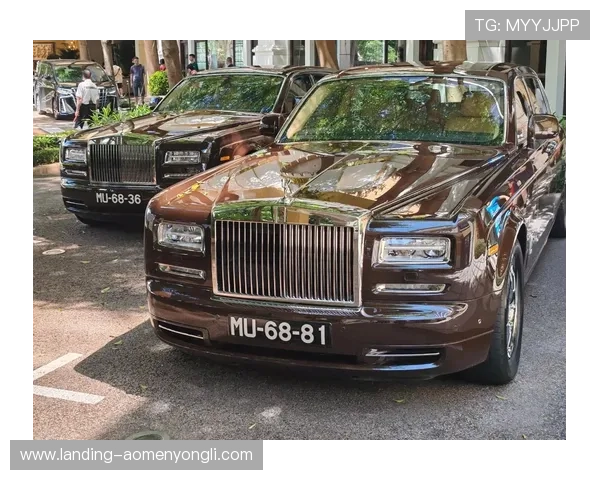 澳门著名赌场名字的最新排名及其吸引游客的原因